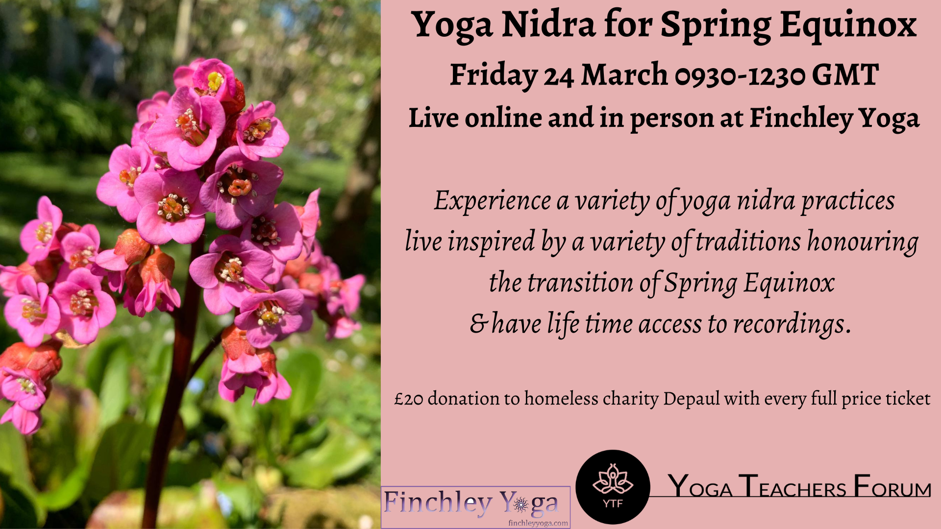 Yoga Nidra Spring Equinox-2